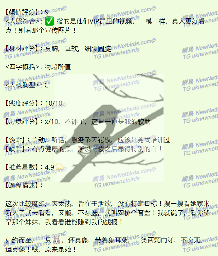戰號 326 2.png
